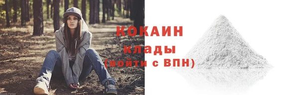 тгк Верея