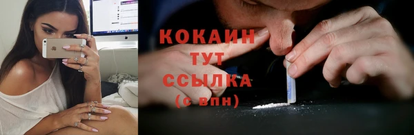 мяу мяу кристалл Богданович
