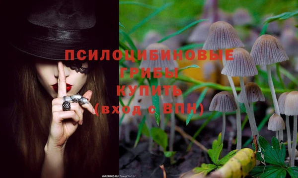 тгк Верея