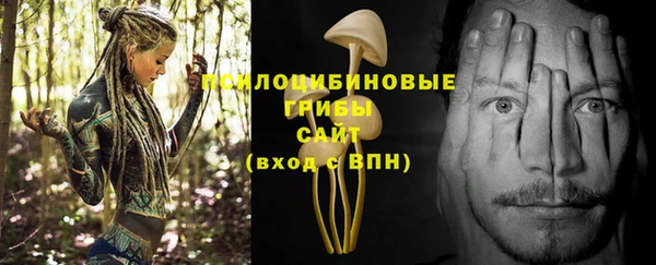 гидропоника Богородск
