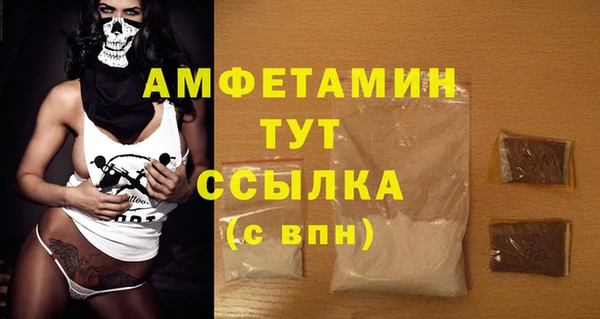 PSILOCYBIN Белокуриха