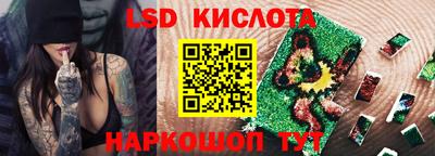 PSILOCYBIN Гатчина