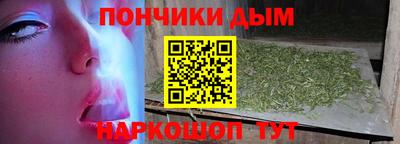 PSILOCYBIN Гатчина