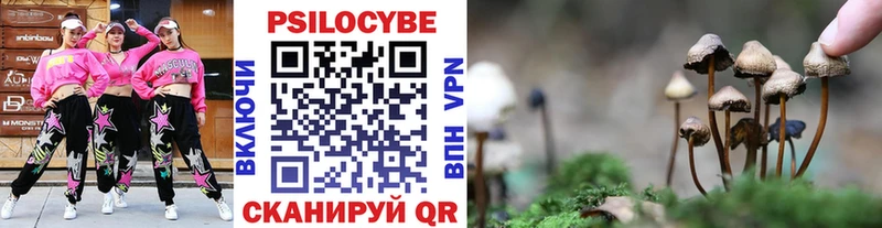OMG вход Гатчина Псилоцибиновые грибы прущие грибы наркошоп