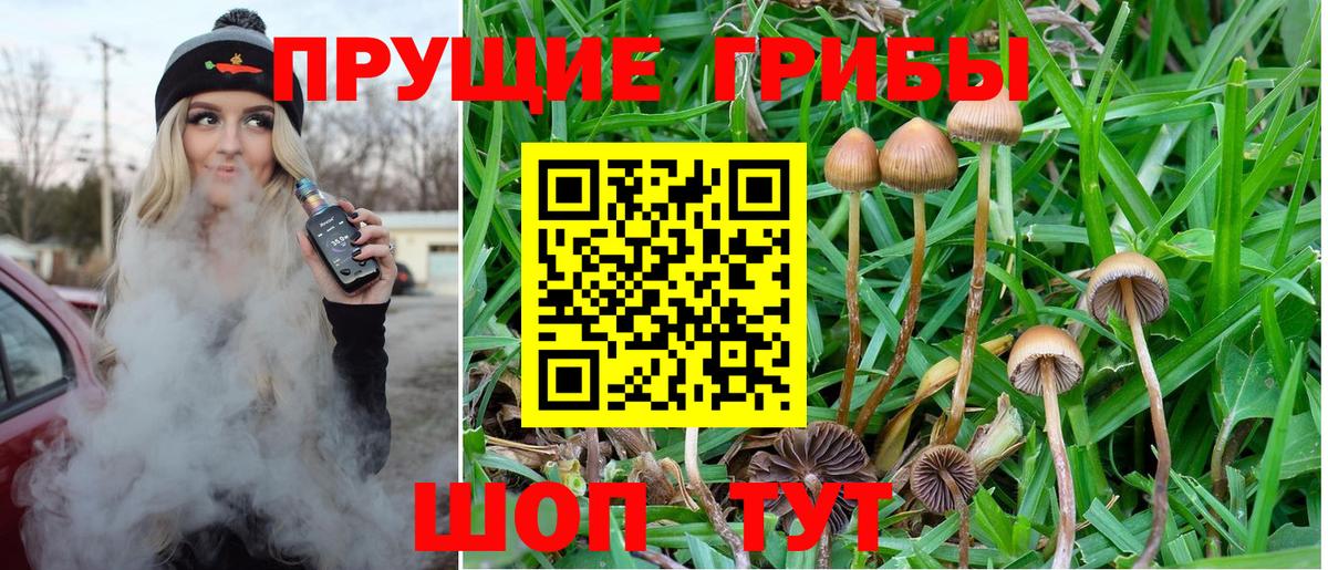 Галлюциногенные грибы GOLDEN TEACHER Гатчина