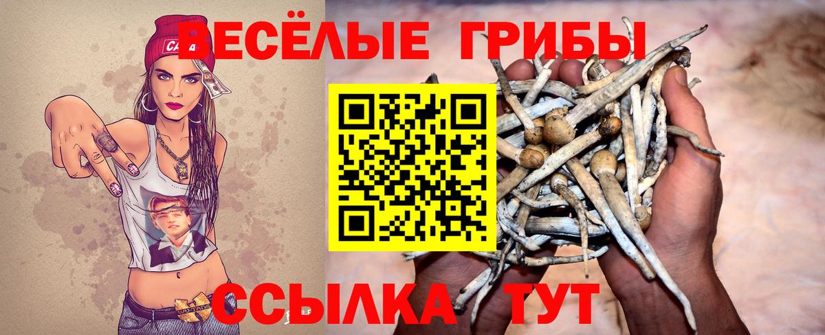 Псилоцибиновые грибы мицелий  Гатчина 