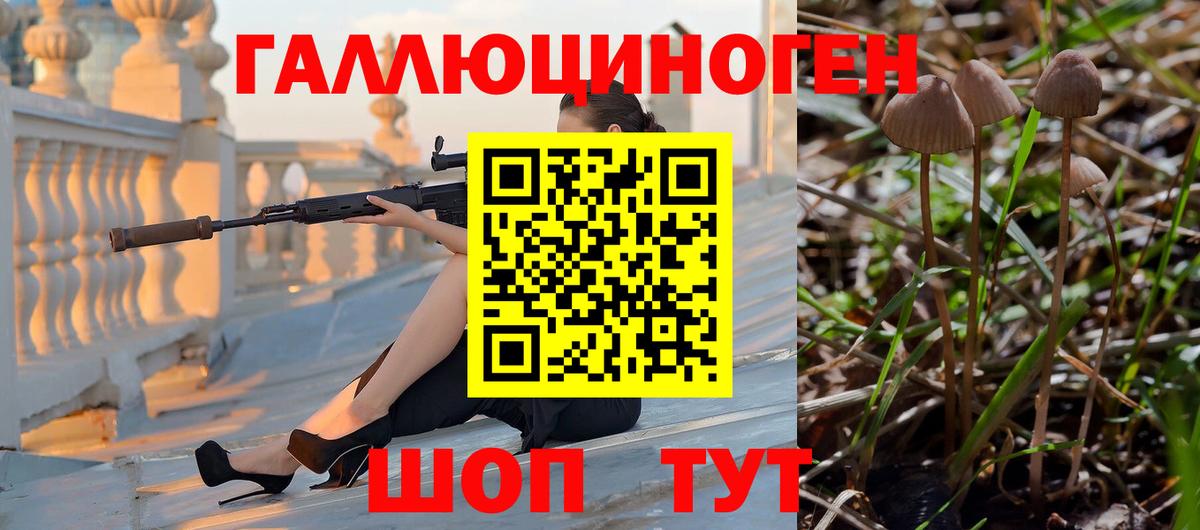 Гатчина  Псилоцибиновые грибы GOLDEN TEACHER  Вход с VPN  Галлюциногенные грибы Cubensis 