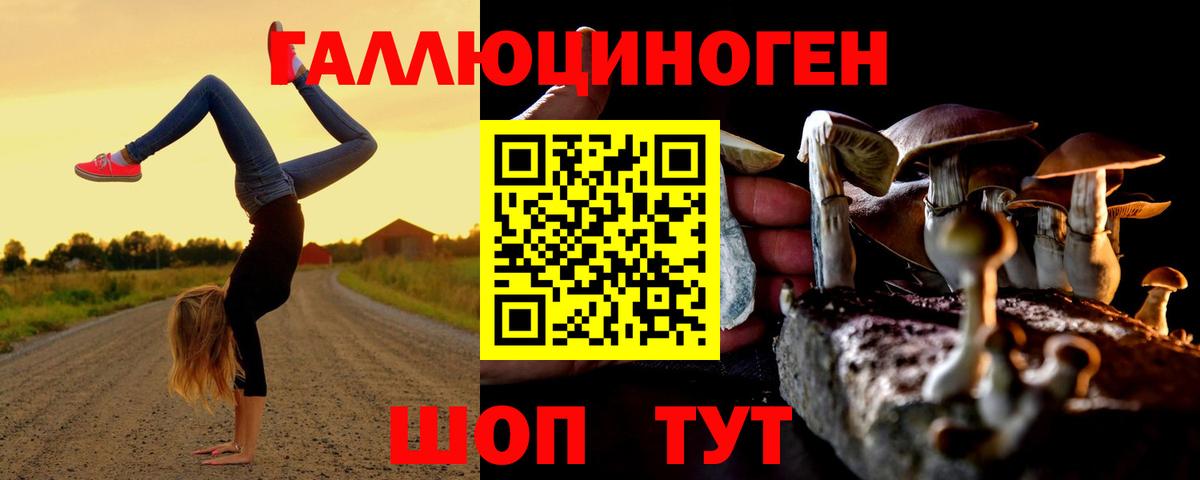 Псилоцибиновые грибы ЛСД Гатчина